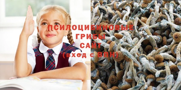амф Покачи