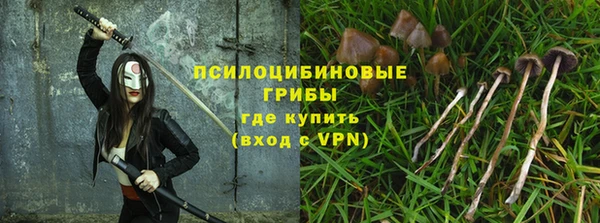 амф Покачи