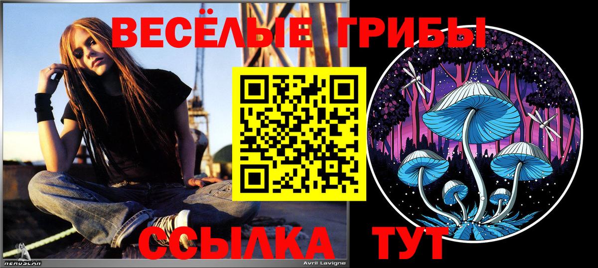 Галлюциногенные грибы Magic Shrooms Стрежевой