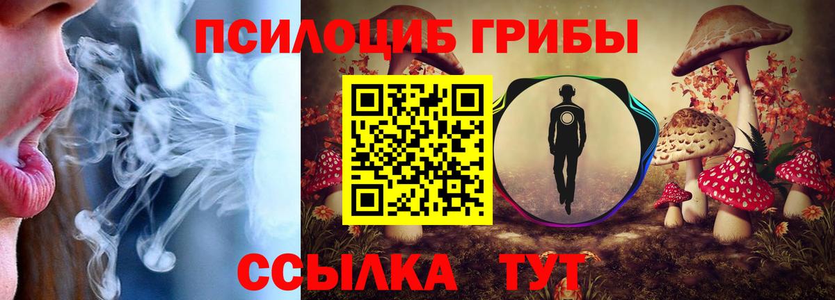 Стрежевой  Псилоцибиновые грибы мицелий  Галлюциногенные грибы GOLDEN TEACHER  Вход с VPN 